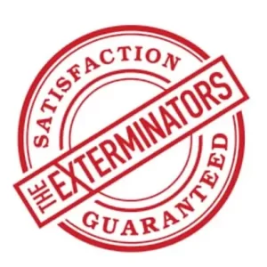 service guaranteed pest control stony lake